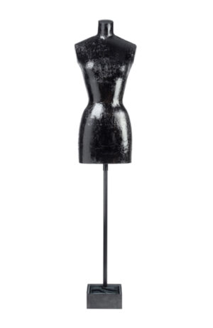 Bust B406 Black Paper Mache